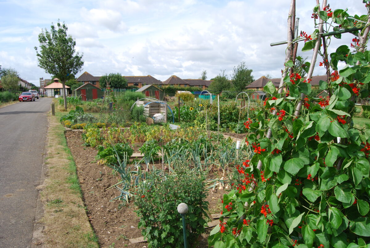 Allotments