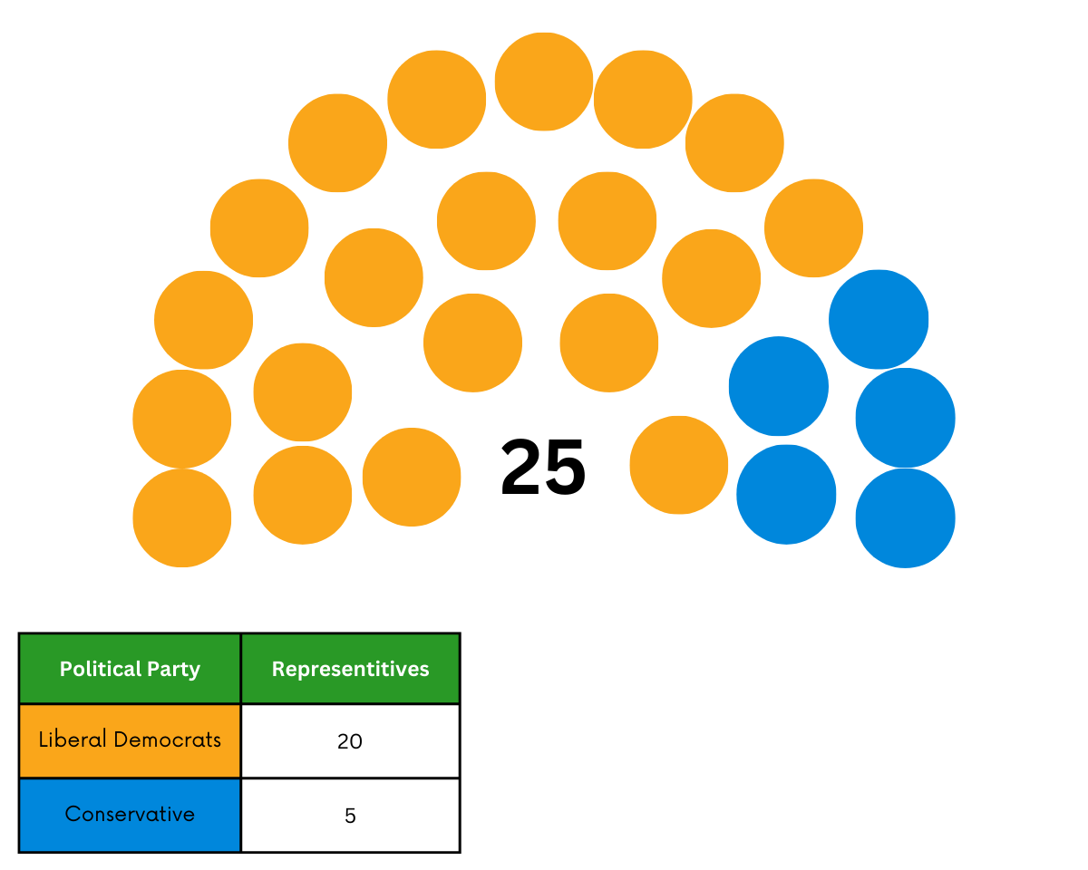 Election Organisational Chart