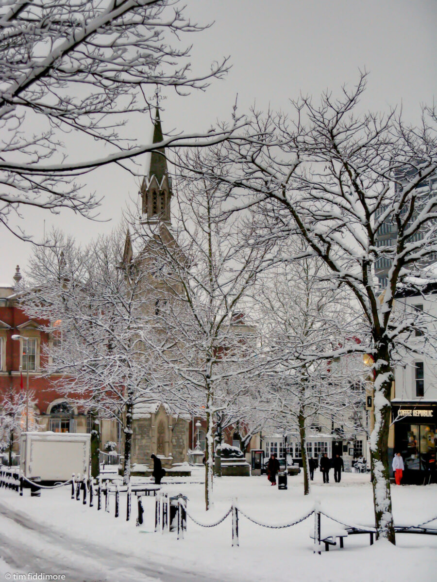 Snow On Trees